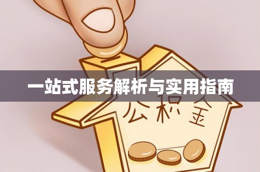 册亨一站式服务解析与实用指南